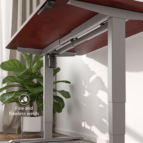Maidesite Standard Series 55 inch Adjustable Electric Standing Desk Elite Edition